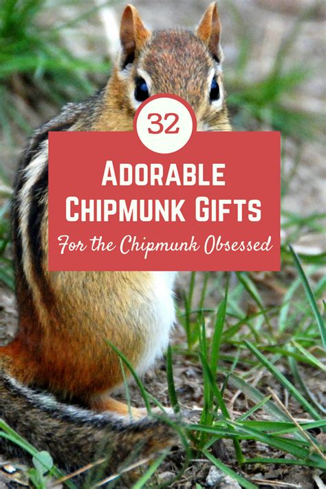 Chipmunks diviner original